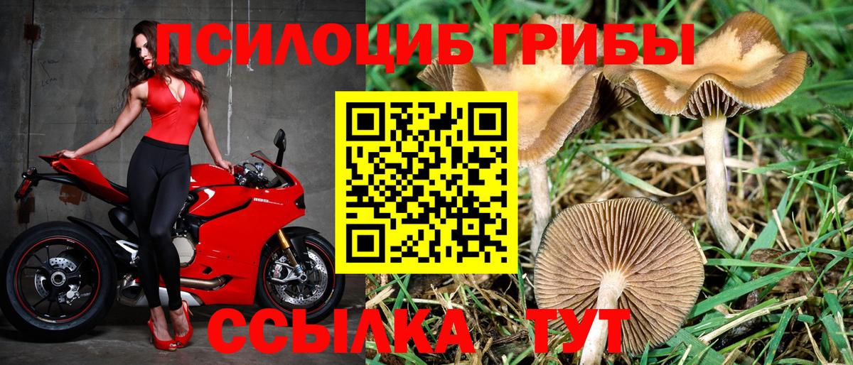 Галлюциногенные грибы Magic Shrooms Можга