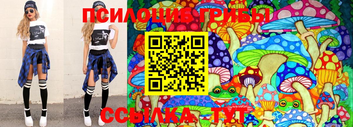 Галлюциногенные грибы мицелий  Псилоцибиновые грибы Cubensis  хочу наркоту  Можга  Вход с VPN 